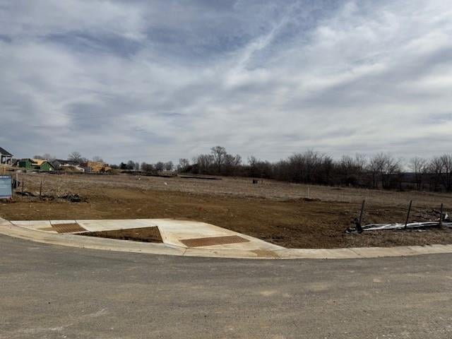 12111 173rd Ter, Overland Park, KS 66221