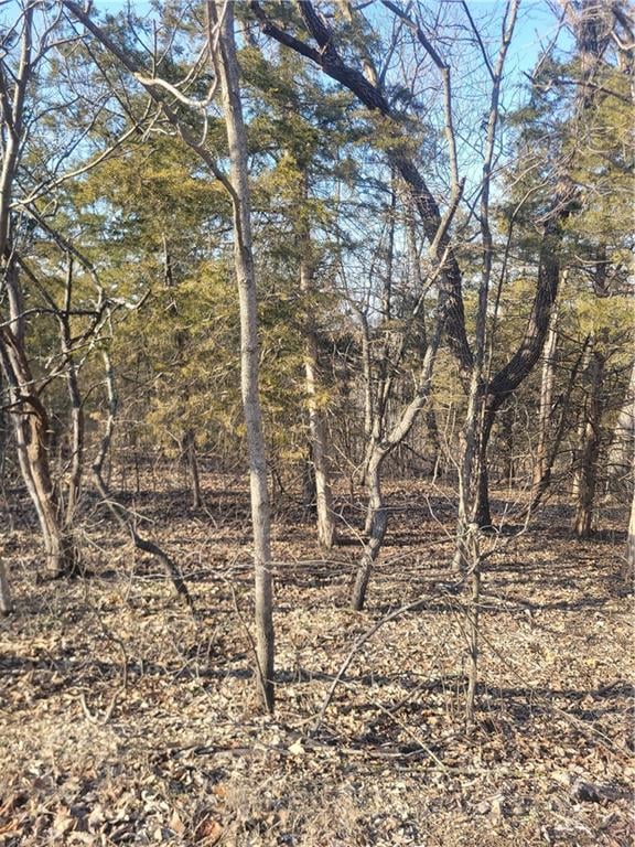 33 Ridgewood Cir, Linn Valley, KS 66040