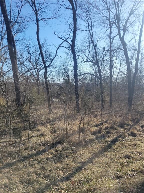 98 Maple Dr, Linn Valley, KS 66040