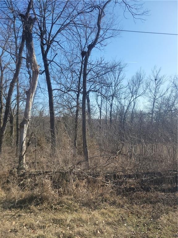 98 Maple Dr, Linn Valley, KS 66040