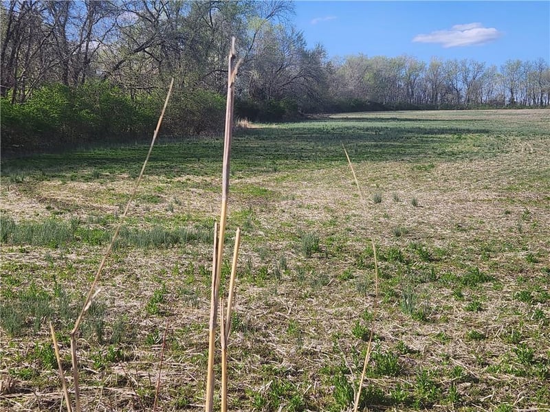 20602 Truman Rd, Independence, MO 64056