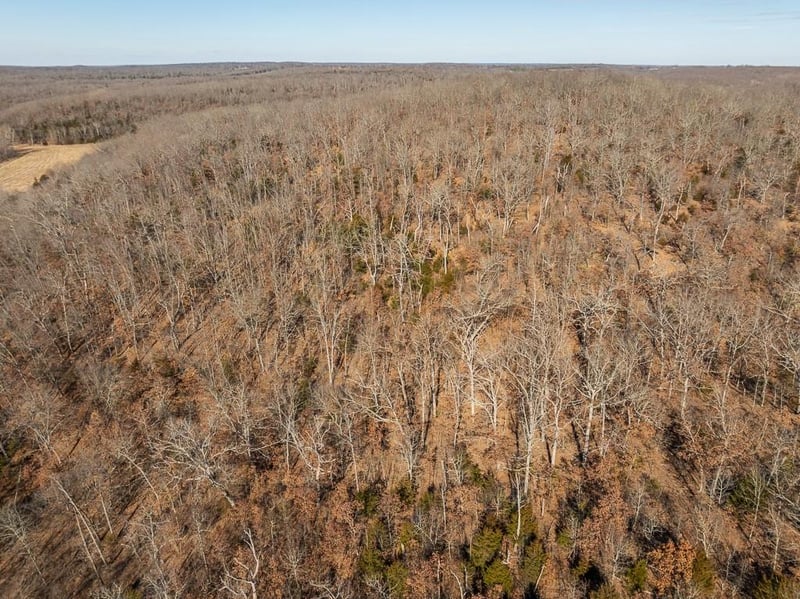 J Hwy Hw, Collins, MO 64738