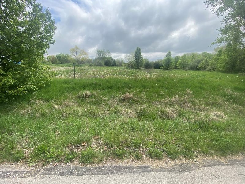 16380 Joy Dr, Lawson, MO 64062