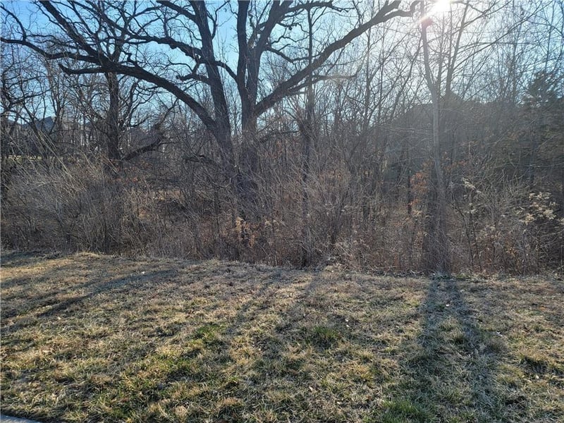 16316 Turnberry N/A, Loch Lloyd, MO 64012