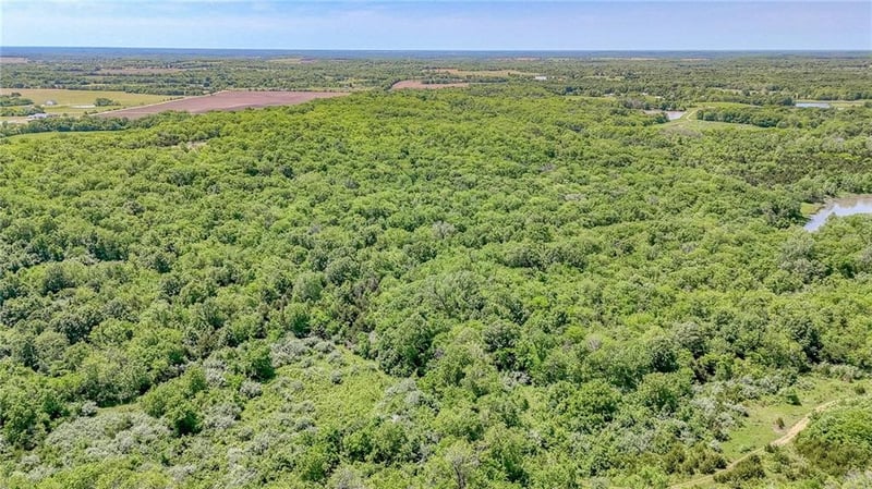 Lot 7 Deer View Estates Rd, Holden, MO 64040