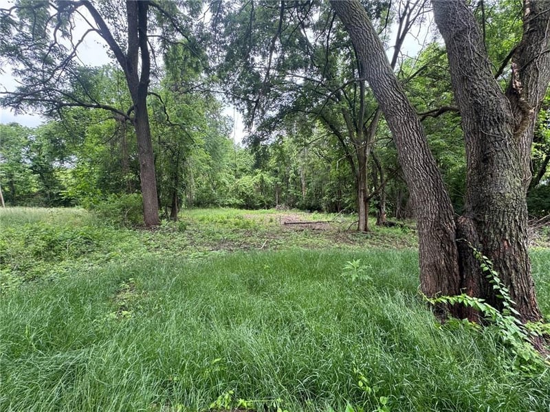3615 N Lydia Ave, Kansas City, MO 64116