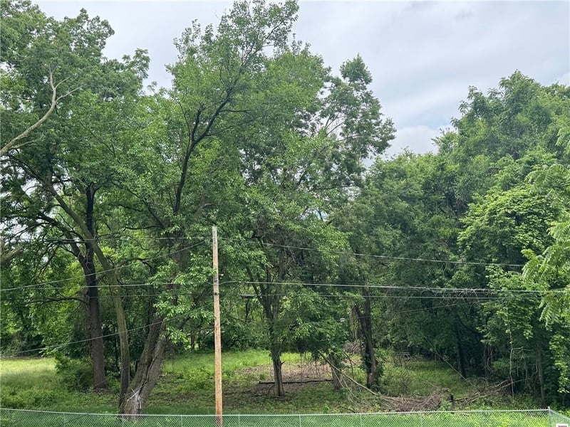 3615 N Lydia Ave, Kansas City, MO 64116