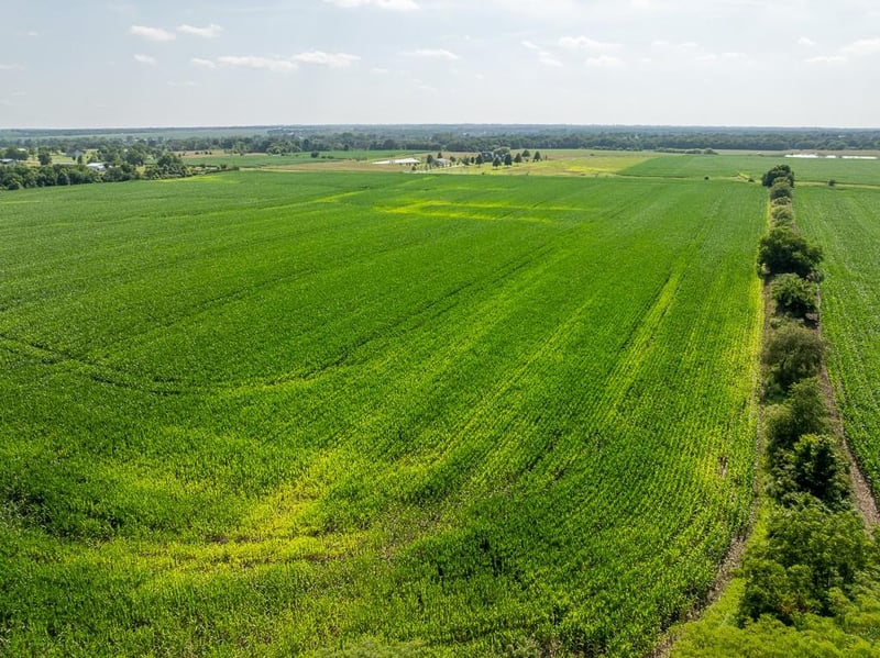 Staley Mound Rd, Garden City, MO 64747