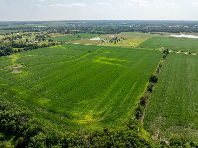 Staley Mound Rd, Garden City, MO 64747