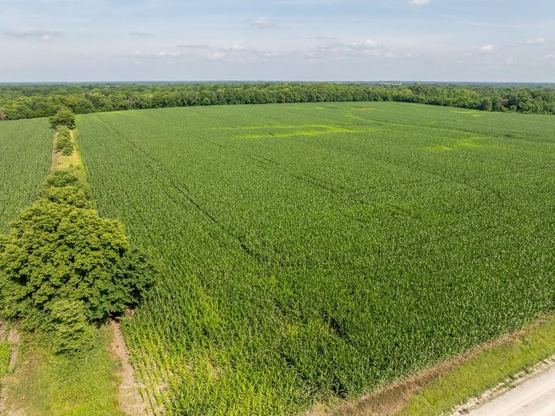 Staley Mound Rd, Garden City, MO 64747