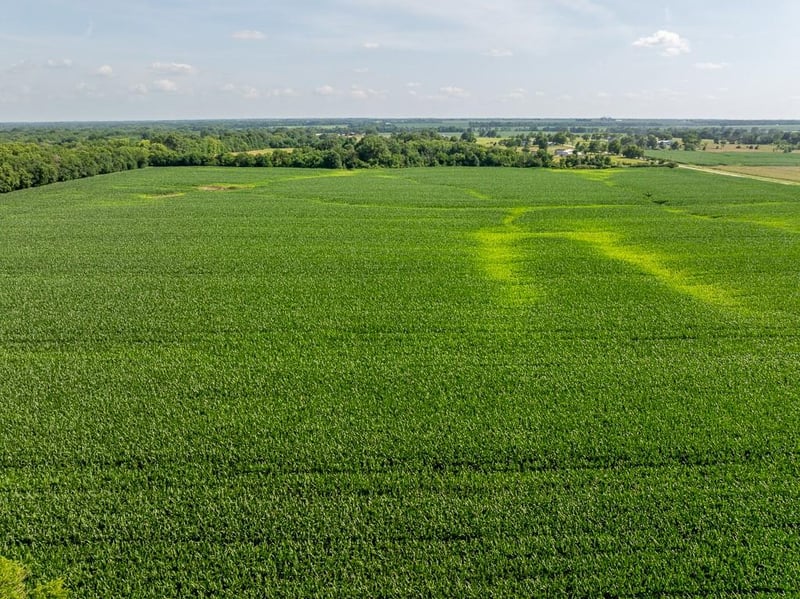 Staley Mound Rd, Garden City, MO 64747