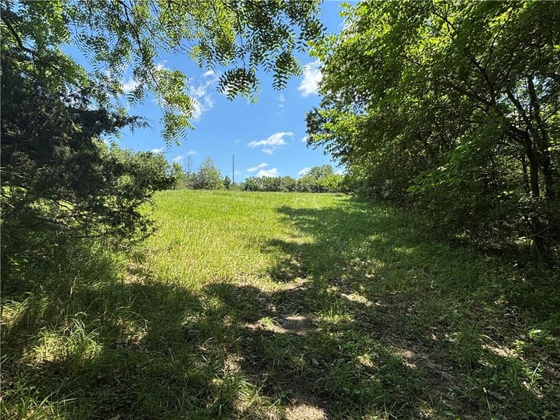 Lot 1155 Lake Viking Ter, Gallatin, MO 64640