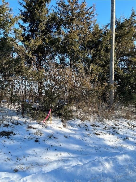 12297 Orrick Rd, Excelsior Springs, MO 64024