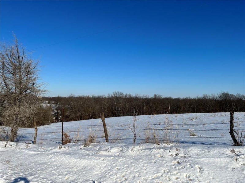 12297 Orrick Rd, Excelsior Springs, MO 64024