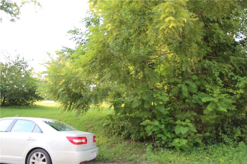 210-214 Springdale Ave, Bonner Springs, KS 66012