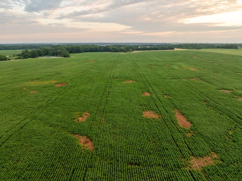 SW 600 Rd, Montrose, MO 64770