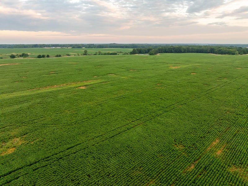 SW 600 Rd, Montrose, MO 64770