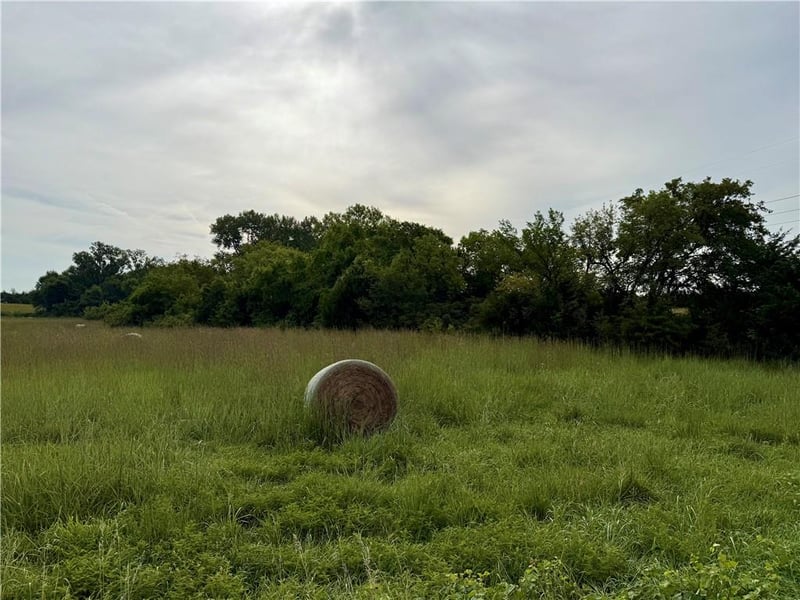 Lot 5 238th St, Tonganoxie, KS 66086