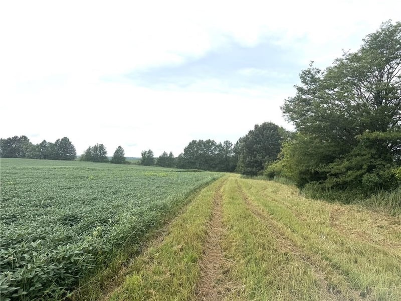 TBD State Hwy V Hw, Gallatin, MO 64640