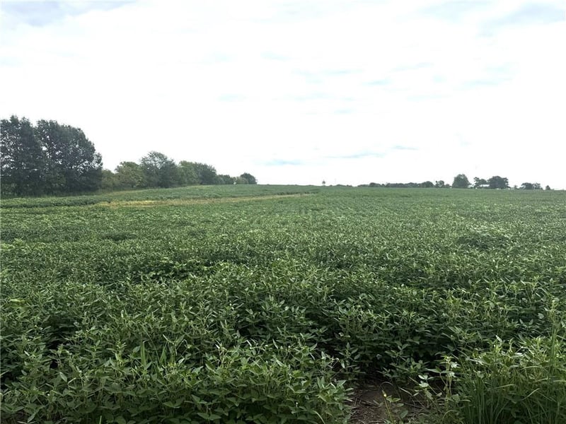 TBD Hwy V Hw, Gallatin, MO 64640