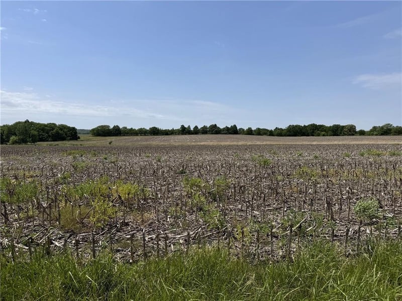 TBD Hwy V Hw, Gallatin, MO 64640