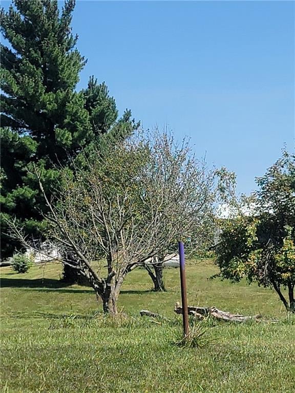 6500 Country Ln Rd, Braymer, MO 64624