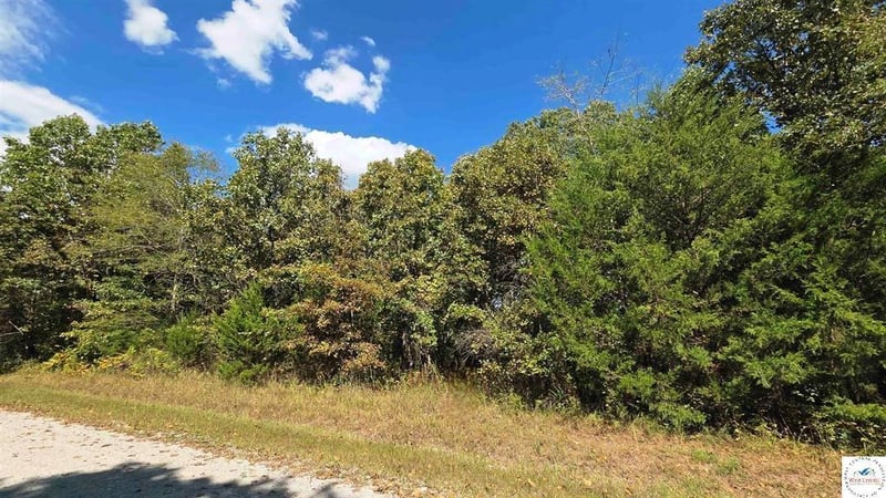 Fay Pl, Edwards, MO 65326