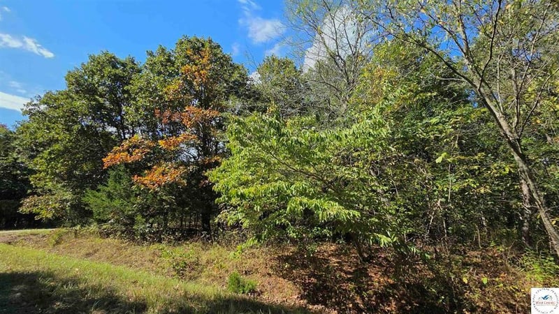 Fay Pl, Edwards, MO 65326
