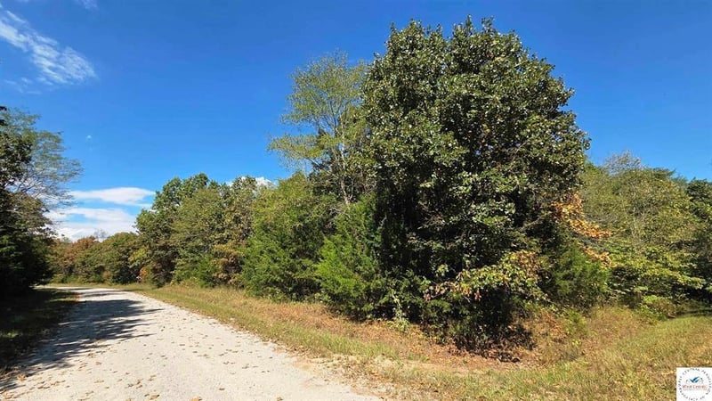 Fay Pl, Edwards, MO 65326