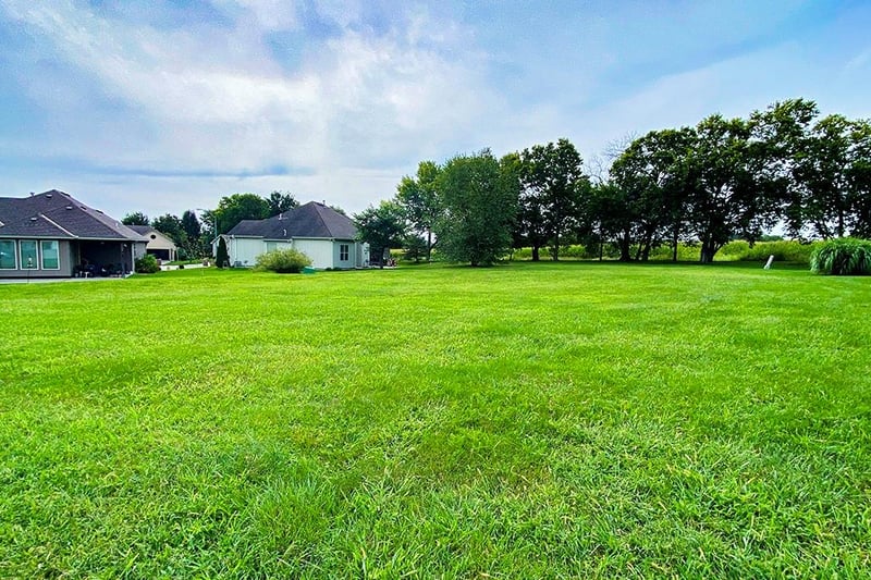 303 Crestview Ct, Raymore, MO 64083