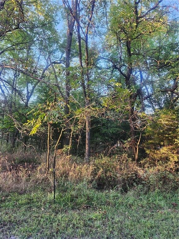 57 Beechwood Ln, Linn Valley, KS 66040