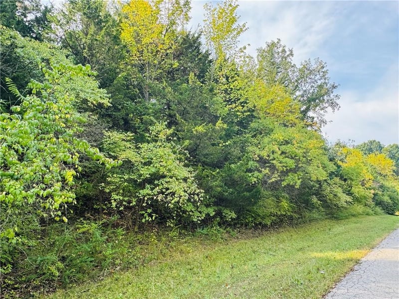 000 Lot 1 Silver Ln, Sugar Creek, MO 64054