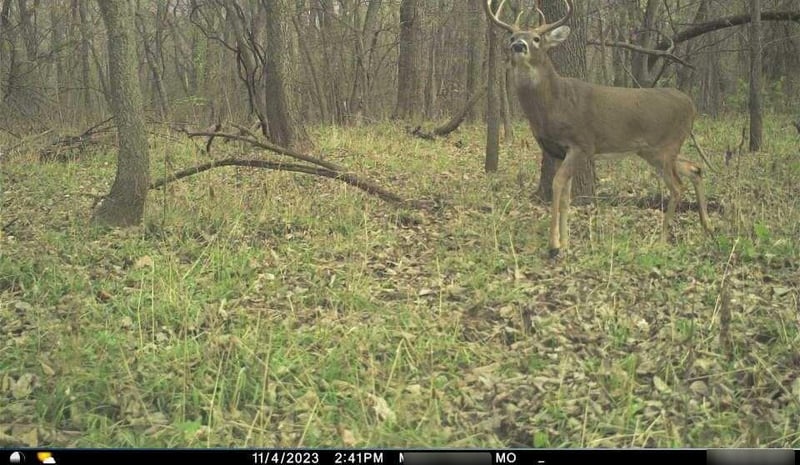 B Hw, Ridgeway, MO 64481