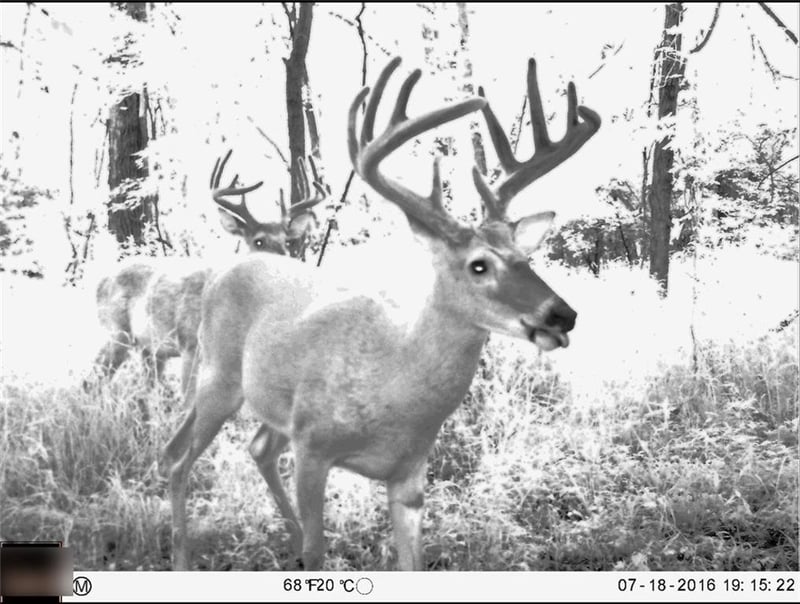 B Hw, Ridgeway, MO 64481