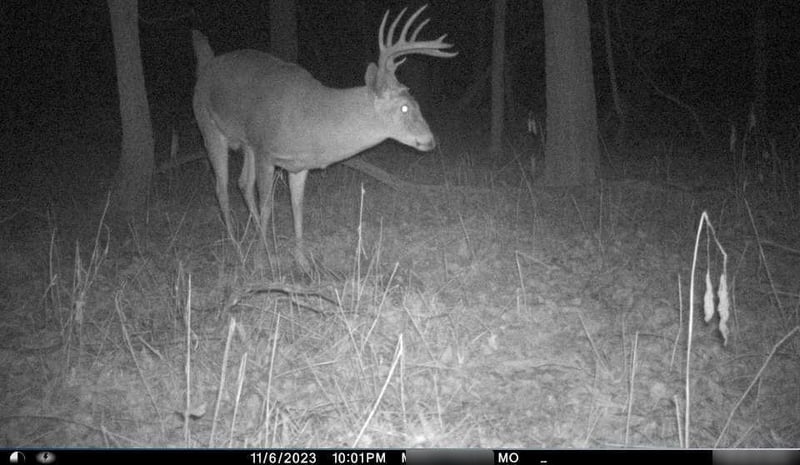B Hw, Ridgeway, MO 64481