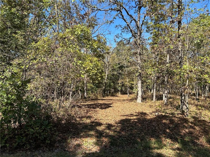 Off Kip Dr, Edwards, MO 65326