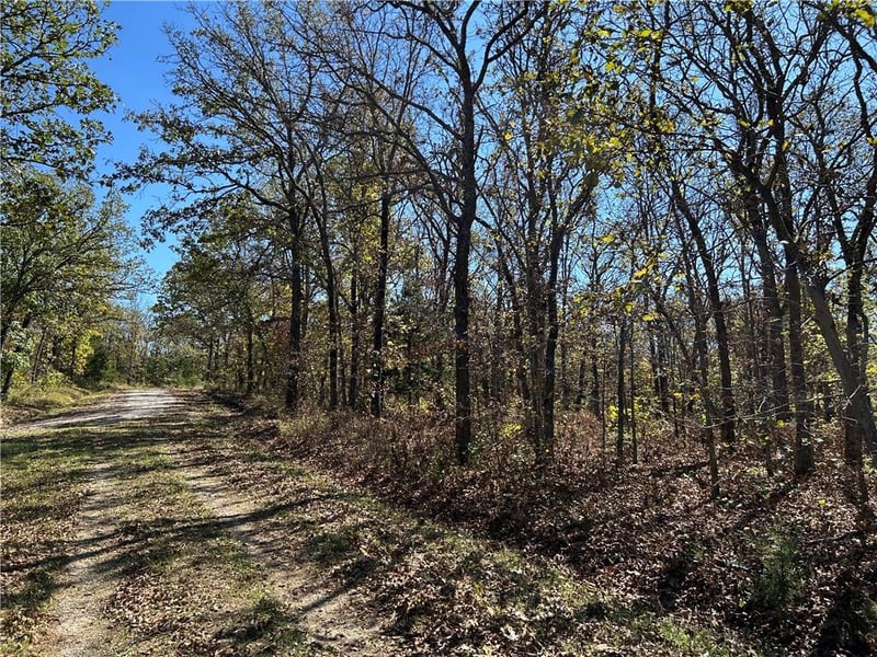 Off Kip Dr, Edwards, MO 65326