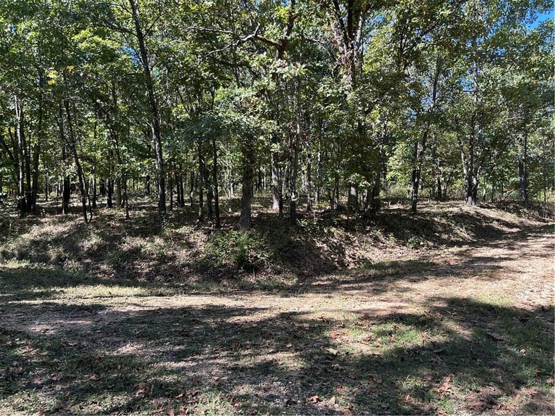 Off Kip Dr, Edwards, MO 65326