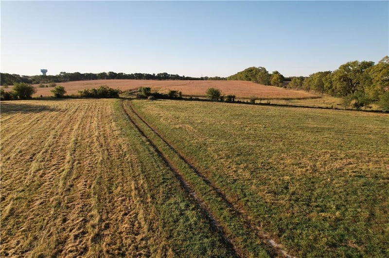12518 Mt Olivet Rd, Smithville, MO 64089