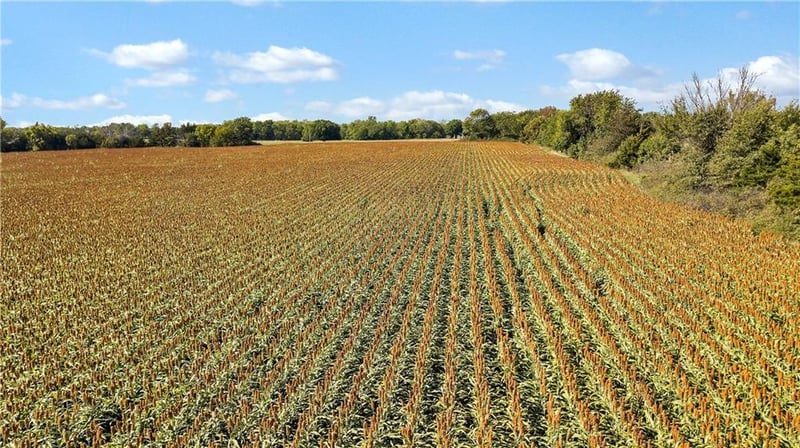 38939 387th Rd, Lane, KS 66042