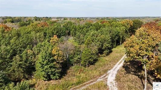 LOT 5 Main Street Rd, Sedalia, MO 65301