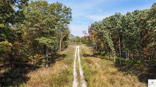 LOT 5 Main Street Rd, Sedalia, MO 65301