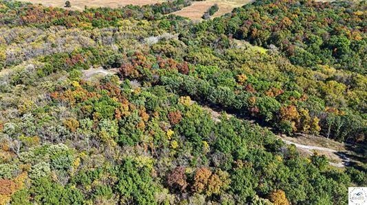 LOT 6 Main Street Rd, Sedalia, MO 65301