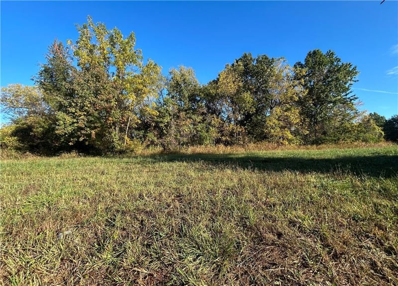 8532 Georgia Ave, Kansas City, KS 66109