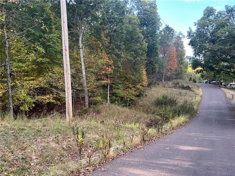 Red Hollow Rd, Gravois Mills, MO 65037