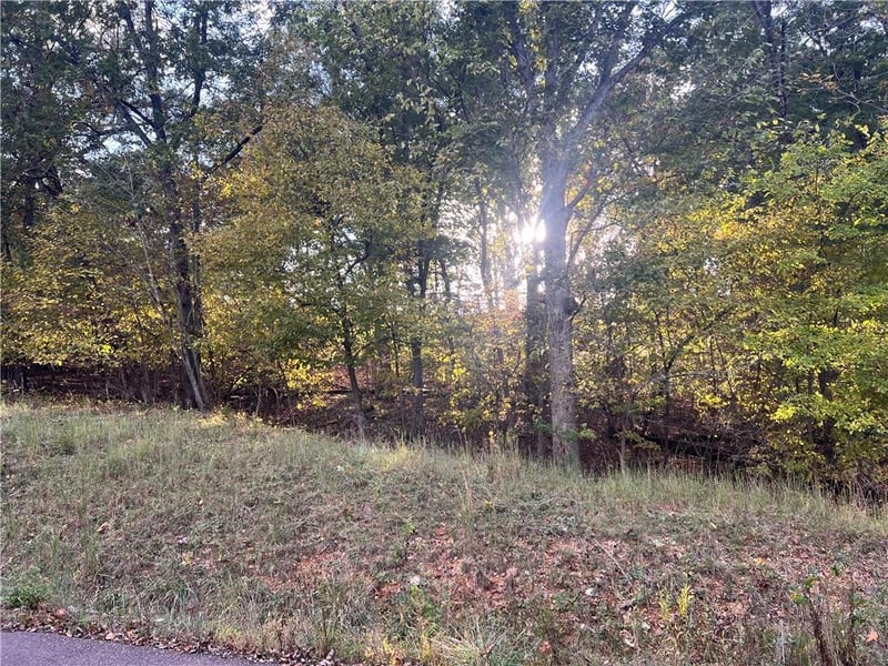 Red Hollow Rd, Gravois Mills, MO 65037