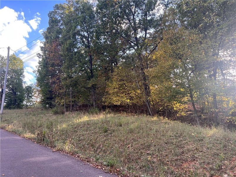 Red Hollow Rd, Gravois Mills, MO 65037