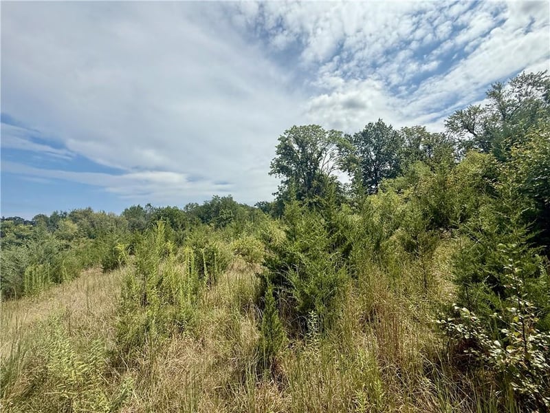 5401 Bennington Ave, Kansas City, MO 64129