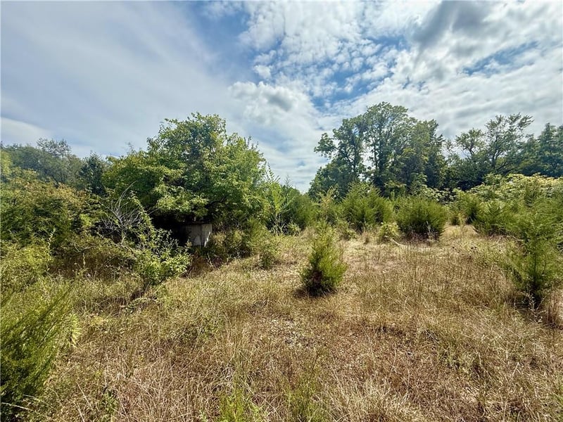 5401 Bennington Ave, Kansas City, MO 64129