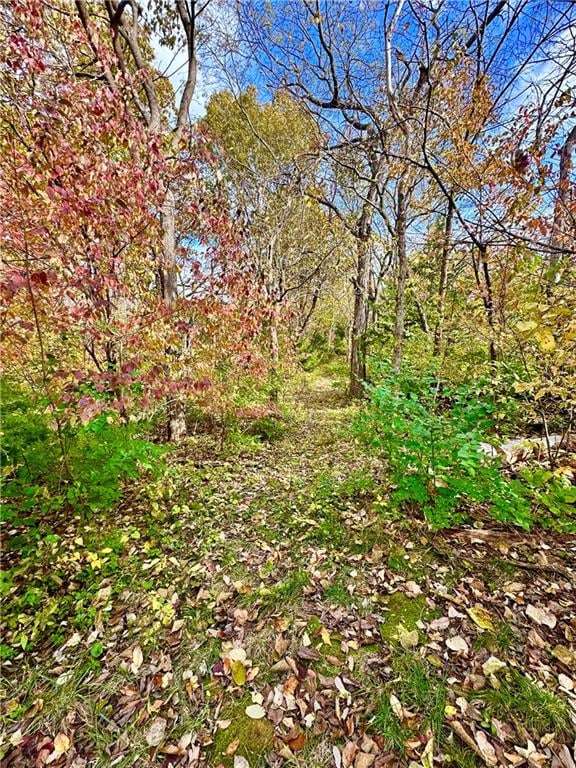 4209 113th Ct, Kansas City, KS 66109